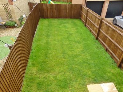 Picture 11